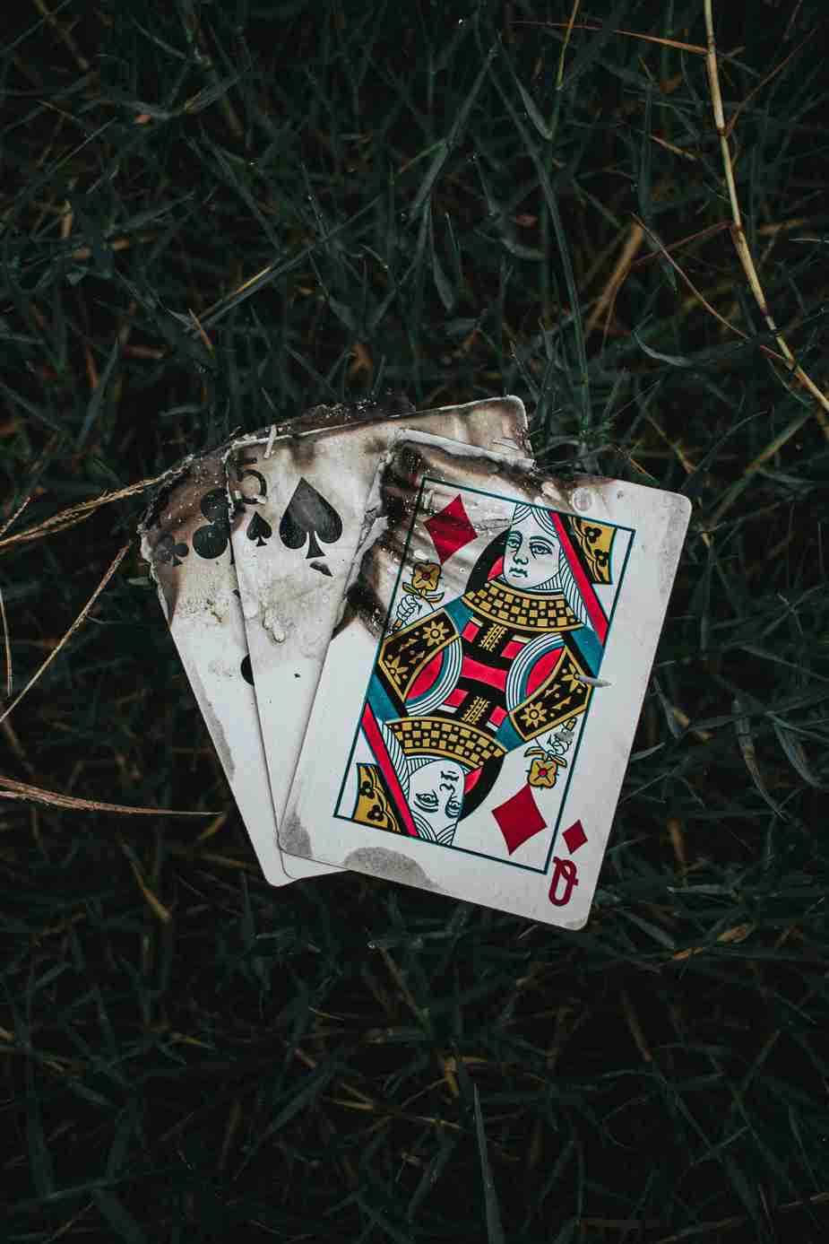Betbeast casino mobile